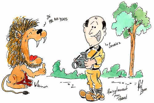 Mon concept safari photo